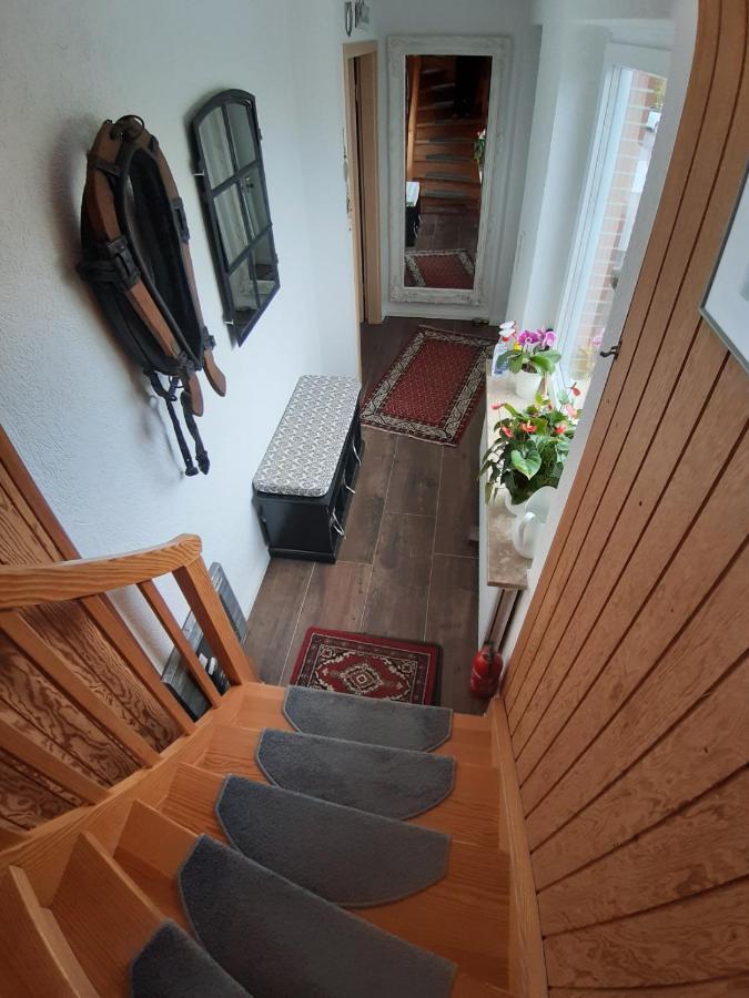 Ferienwohnung Schwalbennest Hanerau-Hademarschen Екстер'єр фото